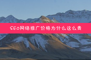 seo网络推广价格为什么这么贵？SEO费用居高不下的原因分析