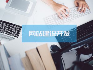 专业网站建设公司的特点是什么？