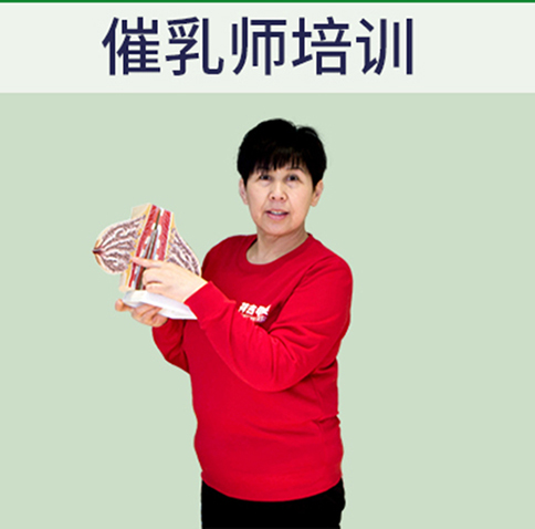 上海催乳师培训